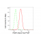 LifeSab™ PARP Rabbit mAb (20 μl)