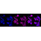 LifeSab™ PARP Rabbit mAb (20 μl)