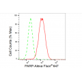 LifeSab™ PARP Rabbit mAb (20 μl)