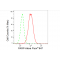 LifeSab™ PARP Rabbit mAb (20 μl)