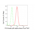 LifeSab™ PIK3R1 Rabbit mAb (20 μl)