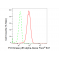 LifeSab™ PIK3R1 Rabbit mAb (20 μl)