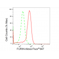 LifeSab™ FURIN Rabbit mAb (20 μl)