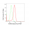 LifeSab™ FURIN Rabbit mAb (20 μl)