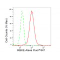 LifeSab™ IKBKE Rabbit mAb (20 μl)