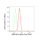 LifeSab™ MAP3K3 Rabbit mAb (20 μl)