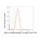 LifeSab™ MMP-13 Rabbit mAb (20 μl)