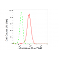 LifeSab™ c-Rel Rabbit mAb (20 μl)