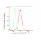 LifeSab™ c-Rel Rabbit mAb (20 μl)