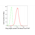 LifeSab™ RNF20 Rabbit mAb (20 μl)