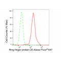 LifeSab™ RNF20 Rabbit mAb (20 μl)