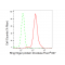 LifeSab™ RNF20 Rabbit mAb (20 μl)