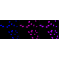 LifeSab™ RNF20 Rabbit mAb (20 μl)