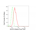 LifeSab™ SUZ12 Rabbit mAb (20 μl)