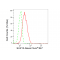 LifeSab™ SUZ12 Rabbit mAb (20 μl)