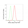 LifeSab™ WASL Rabbit mAb (20 μl)