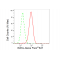 LifeSab™ WASL Rabbit mAb (20 μl)