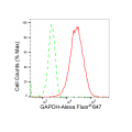 LifeSab™ GAPDH Rabbit mAb (20 μl)