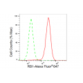 LifeSab™ RB1 Rabbit mAb (20 μl)