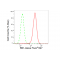 LifeSab™ RB1 Rabbit mAb (20 μl)