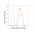 LifeSab™ PKM2 Rabbit mAb (20 μl)