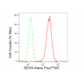 LifeSab™ SDHA Rabbit mAb (20 μl)