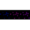 LifeSab™ SDHA Rabbit mAb (20 μl)