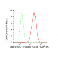 LifeSab™ MACROH2A1 Rabbit mAb (20 μl)