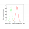 LifeSab™ MACROH2A1 Rabbit mAb (20 μl)