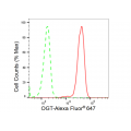 LifeSab™ OGT Rabbit mAb (20 μl)