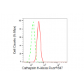 LifeSab™ CTSH Rabbit mAb (20 μl)