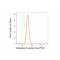 LifeSab™ CTSH Rabbit mAb (20 μl)