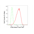 LifeSab™ CHM Rabbit mAb (20 μl)