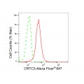 LifeSab™ CRTC3 Rabbit mAb (20 μl)