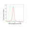 LifeSab™ CRTC3 Rabbit mAb (20 μl)