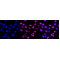 LifeSab™ BLNK Rabbit mAb (20 μl)