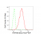 LifeSab™ COPS8 Rabbit mAb (20 μl)