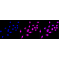 LifeSab™ COPS8 Rabbit mAb (20 μl)