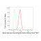 LifeSab™ BDNF Rabbit mAb (20 μl)