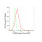 LifeSab™ CD86 Rabbit mAb (20 μl)