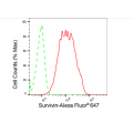 LifeSab™ Survivin Rabbit mAb (20 μl)