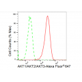 LifeSab™ AKT1/AKT2/AKT3 Rabbit mAb (20 μl)