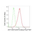 LifeSab™ AKT1/AKT2/AKT3 Rabbit mAb (20 μl)