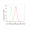 LifeSab™ AKT1/AKT2/AKT3 Rabbit mAb (20 μl)