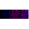 LifeSab™ AKT1/AKT2/AKT3 Rabbit mAb (20 μl)