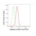 LifeSab™ CASP6 Rabbit mAb (20 μl)