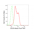 LifeSab™ CDC6 Rabbit mAb (20 μl)