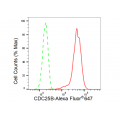 LifeSab™ CDC25B Rabbit mAb (20 μl)