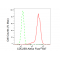 LifeSab™ CDC25B Rabbit mAb (20 μl)