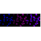 LifeSab™ CDC25B Rabbit mAb (20 μl)